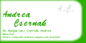 andrea csernak business card
