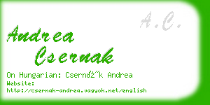 andrea csernak business card